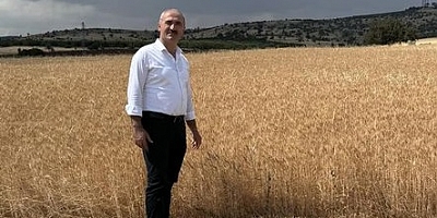 MİHALIÇÇIK BELEDİYESİNDE HASAT  SONA ERDİ.